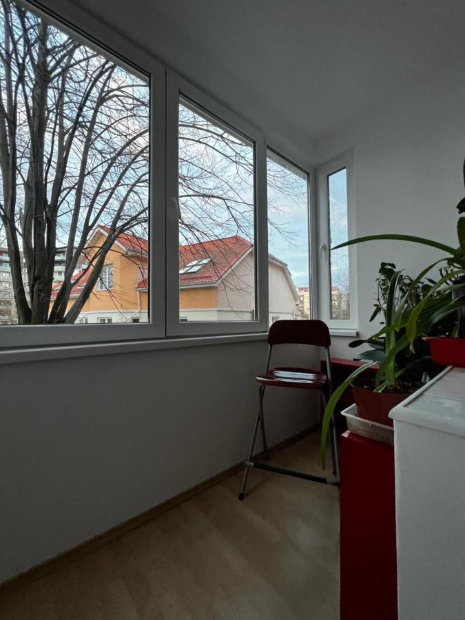 Noreea Central Apartment Timişoara Exterior foto